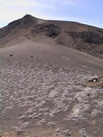 Galapagos vacations - Cruise & Tour Information