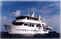 DIVING TOURS GALAPAGOS ISLANDS - DIVING CRUISES GALAPAGOS ISLANDS
