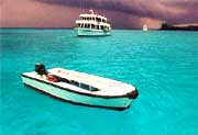 Galapagos tour operator - Ecuador vacations guide - Day trips