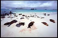 Isla ESPANOLA - Galapagos island travel information