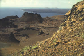 Galapagos tours - Ecuador trips